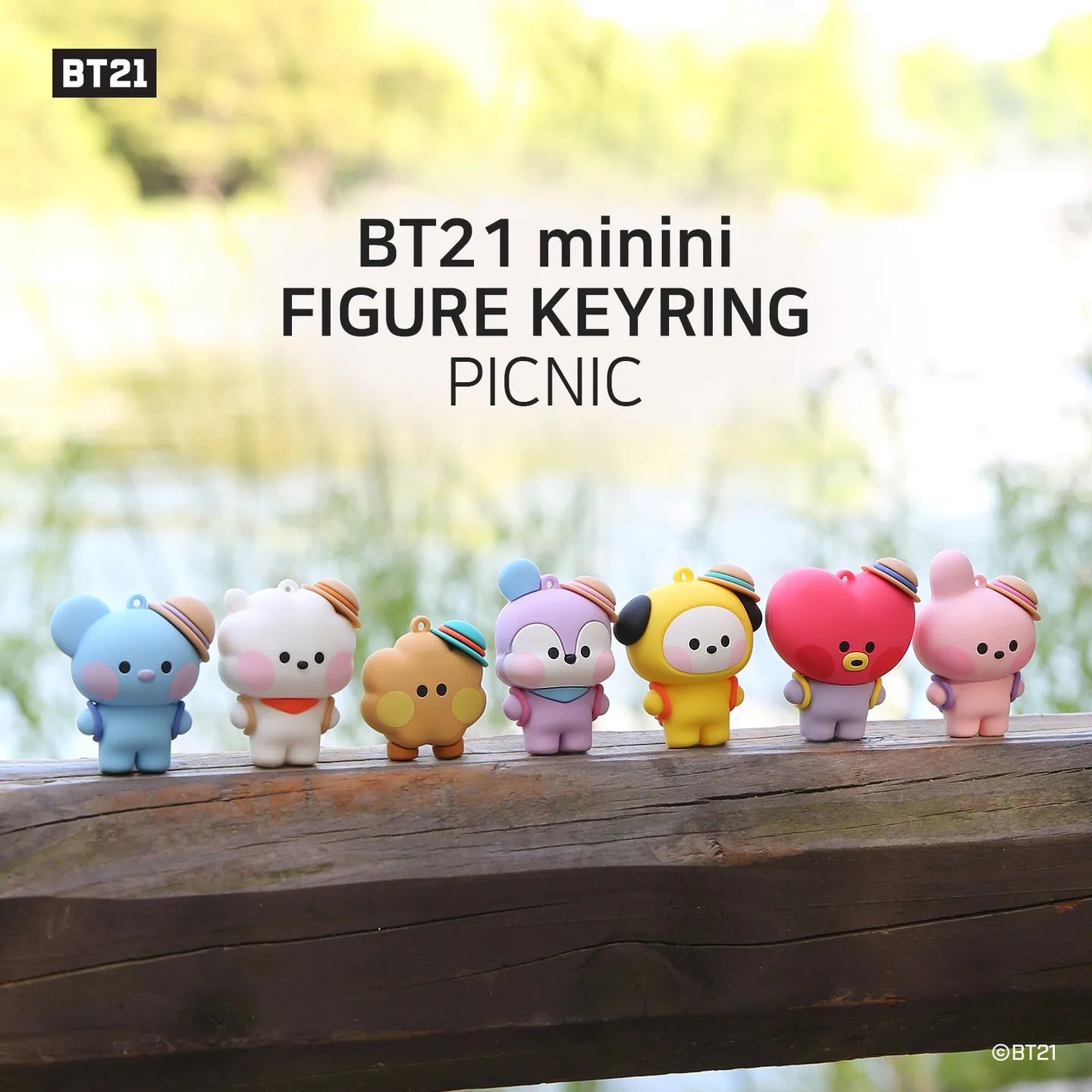 BTS BT21 - Figure Keyring Picnic